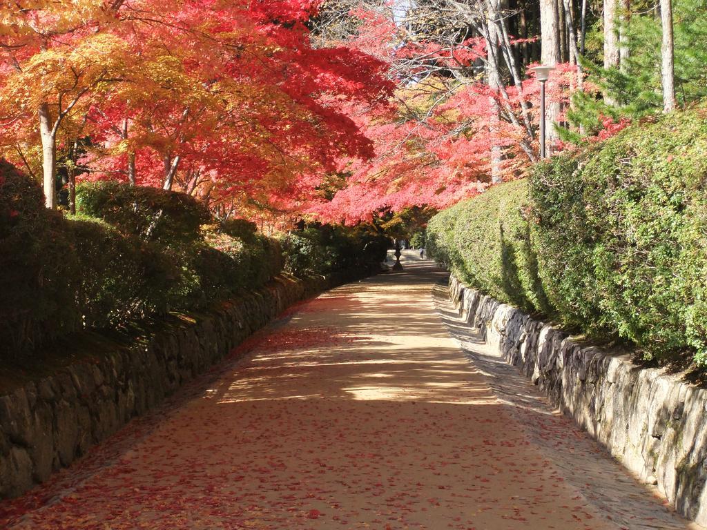 Hotel Koyasan Shukubo Jokiin Exterior foto